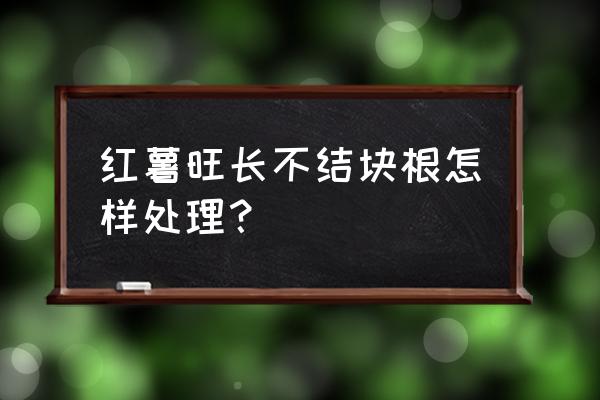 我的世界如何让藤蔓变长 红薯旺长不结块根怎样处理？