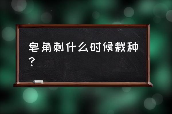 三年皂角树能产多少皂角刺 皂角刺什么时候栽种？