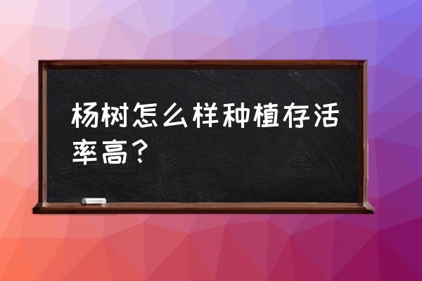 如何种植一棵大树 杨树怎么样种植存活率高？