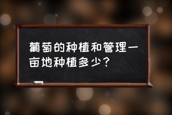 葡萄的种植方法和栽培技术 葡萄的种植和管理一亩地种植多少？