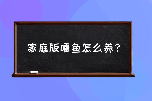 家庭养嘎鱼的正确方法 家庭版嘎鱼怎么养？