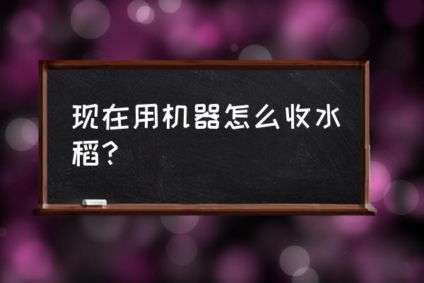 稻子需要哪些劳动才能种出来 现在用机器怎么收水稻？