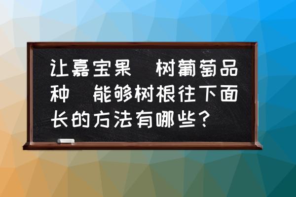 为什么嘉宝果要断根才能结果 让嘉宝果（树葡萄品种）能够树根往下面长的方法有哪些？