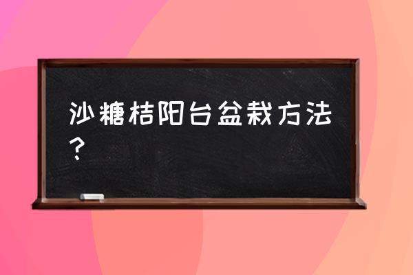 阳台盆栽沙糖桔 沙糖桔阳台盆栽方法？