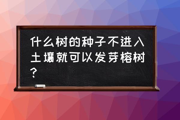 什么球的种子不进入土壤就能发芽 什么树的种子不进入土壤就可以发芽榕树？