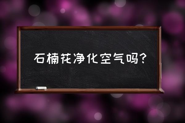 为什么要大面积种石楠花 石楠花净化空气吗？