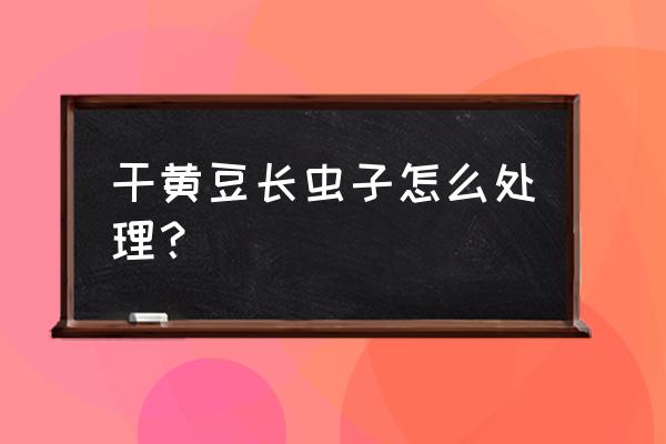 豆子长虫了怎么处理 干黄豆长虫子怎么处理？