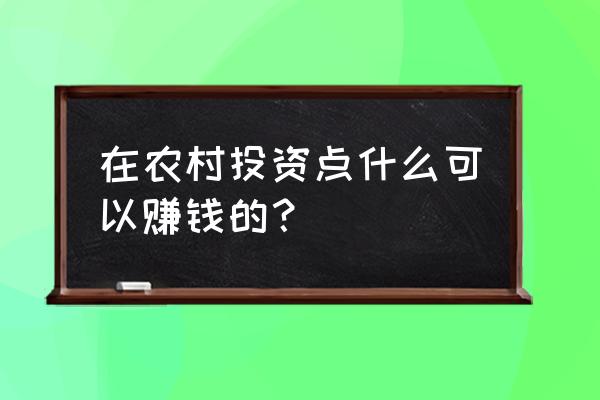 在农村老家创业做什么最好 在农村投资点什么可以赚钱的？