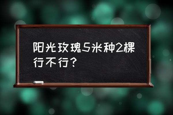 阳光玫瑰葡萄苗哪里可以买到正品 阳光玫瑰5米种2棵行不行？