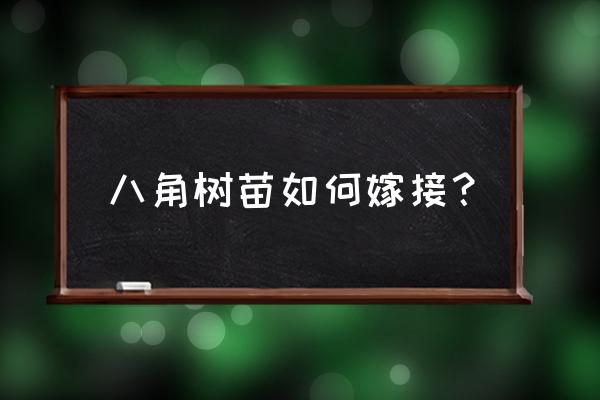 八角树苗用什么树嫁接 八角树苗如何嫁接？