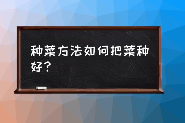 怎么在家快速自己种菜 种菜方法如何把菜种好？