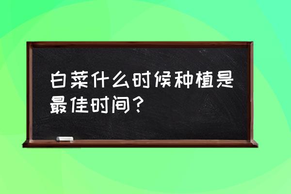 各个季节适合种什么花 白菜什么时候种植是最佳时间？