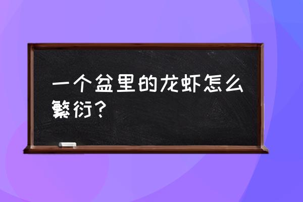 小龙虾家养繁殖方法 一个盆里的龙虾怎么繁衍？