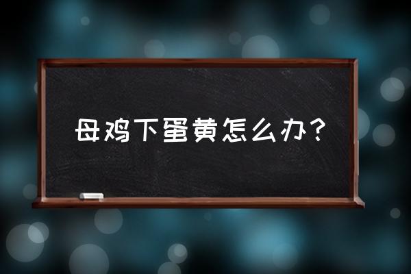 母鸡老是把自己下的蛋吃了怎么办 母鸡下蛋黄怎么办？