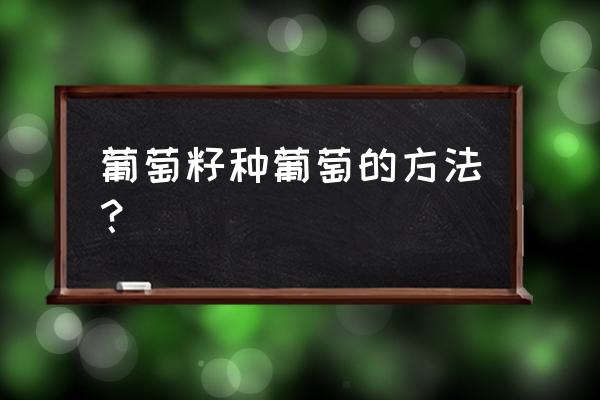 纯营养土能种葡萄吗 葡萄籽种葡萄的方法？