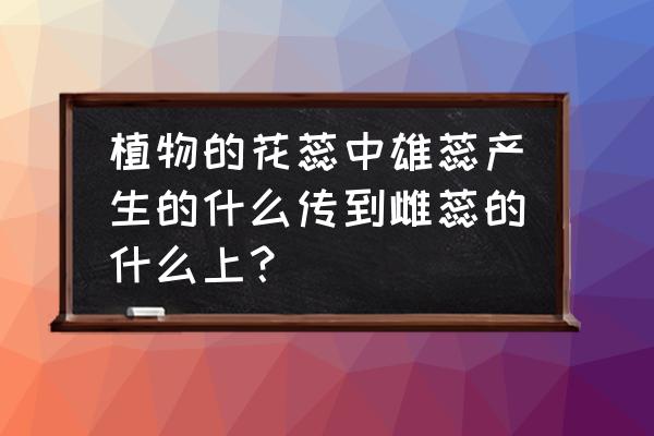 花粉形成的条件 植物的花蕊中雄蕊产生的什么传到雌蕊的什么上？