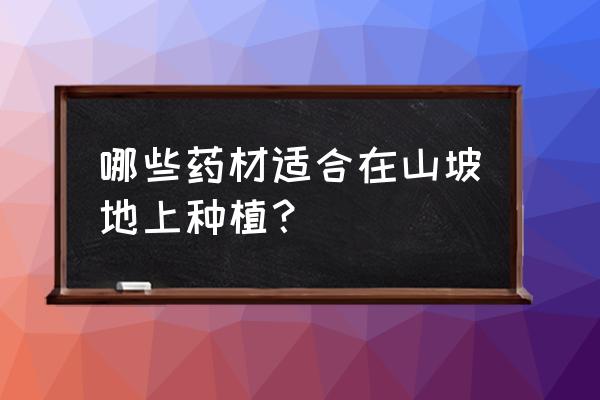 北沙参最佳种植时间 哪些药材适合在山坡地上种植？