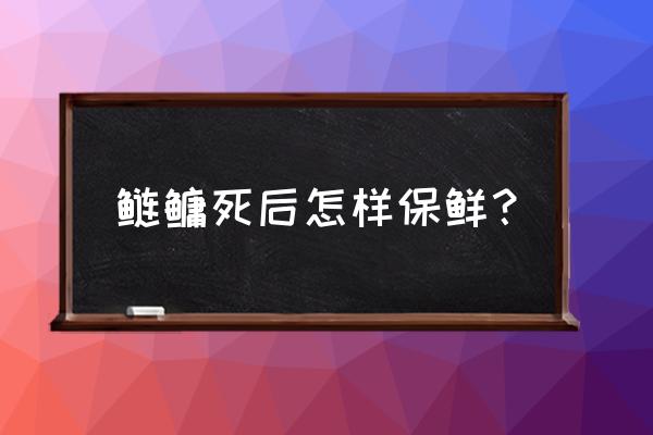 池塘白鲢死怎么解决 鲢鳙死后怎样保鲜？