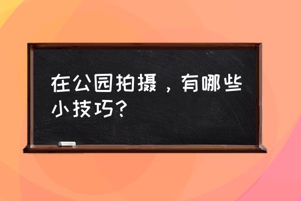 风景拍摄十大技巧 在公园拍摄，有哪些小技巧？