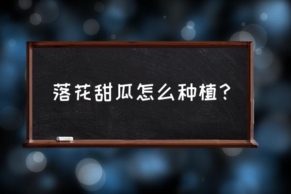 落花之舞栽培方法 落花甜瓜怎么种植？