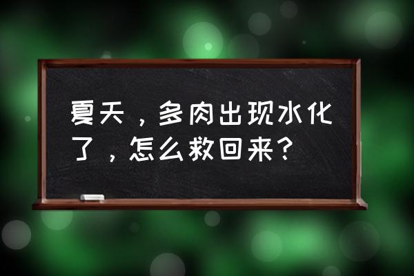 夏季温室大棚的保养和维护方法 夏天，多肉出现水化了，怎么救回来？